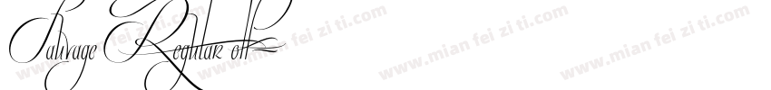 Sauvage Regular otf字体转换
